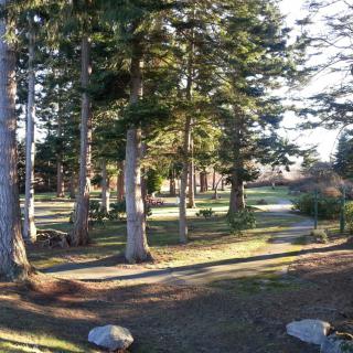 A serene park with tall trees and dappled sunlight creating a peaceful atmosphere.