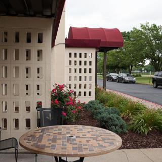 An outdoor patio area with a mosaic table and chairs, surrounded by plants and flowers, next to a building with an awning.