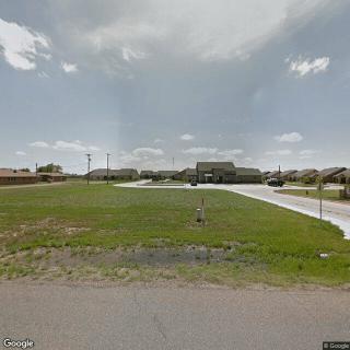 Silver Leaf Panhandle