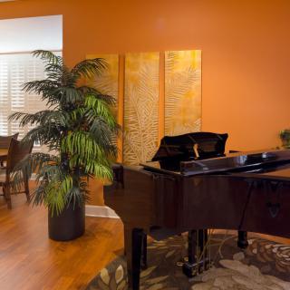 A cozy living room with a grand piano, vibrant orange walls, and decorative plants.