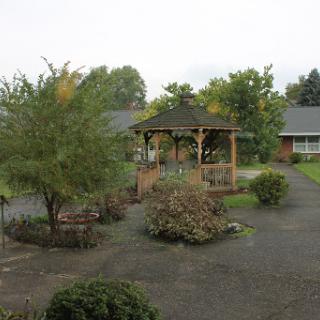 A serene garden featuring a wooden gazebo surrounded by lush greenery and flowering plants.