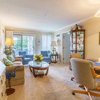 A cozy living room with comfortable seating, natural light, and stylish decor.