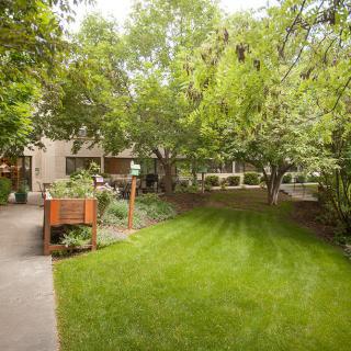 A serene garden setting with lush greenery and a well-maintained lawn.