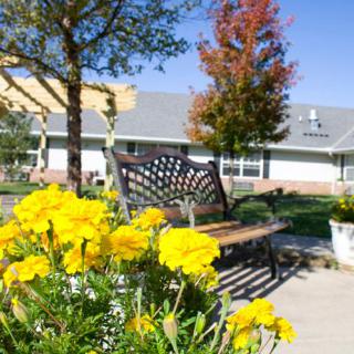 A sunny garden scene with vibrant yellow flowers and a decorative bench in front of a building.