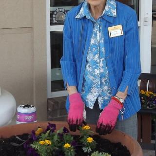 A person wearing pink gloves planting flowers in a large pot outdoors.