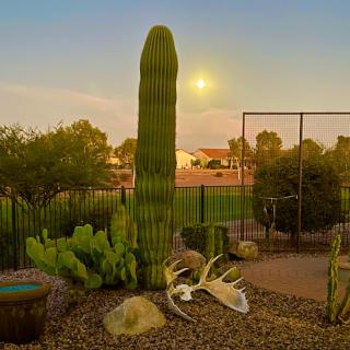 Sun City Anthem at Merrill Ranch