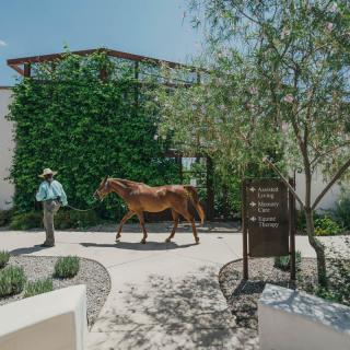 A person walks a horse along a pathway surrounded by greenery and modern buildings.