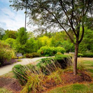 A serene garden pathway surrounded by lush greenery and trees.