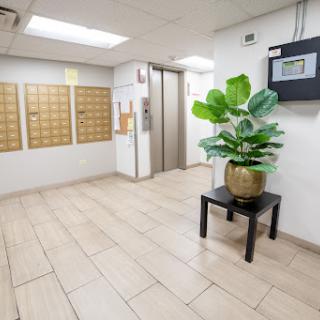 A modern lobby area featuring an elevator, mailboxes, and a decorative plant.