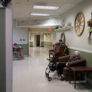 A serene hallway in a nursing home, showcasing residents engaging with their surroundings.
