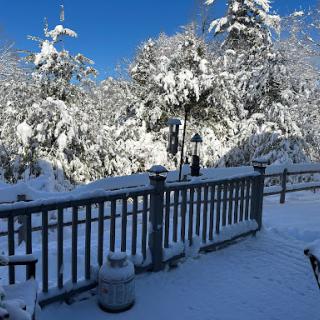A serene winter landscape blanketed in fresh snow under a clear blue sky.