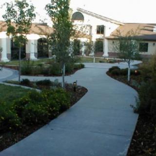 A landscaped garden with a winding pathway leading to a building.