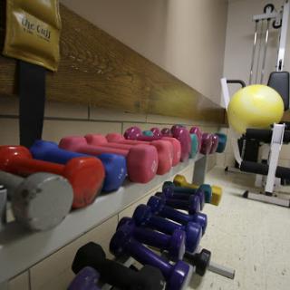 A variety of colorful dumbbells lined up in a gym, ready for a workout session.