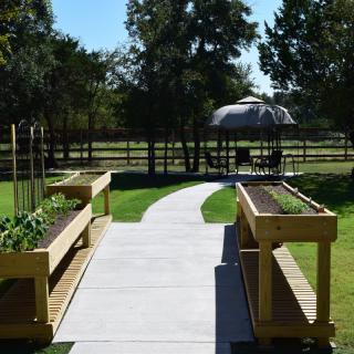 A sunny garden with raised beds alongside a concrete pathway leading to an outdoor seating area.