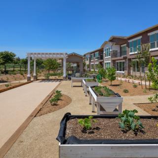Raised garden beds and a pathway in a community garden setting next to a modern building.
