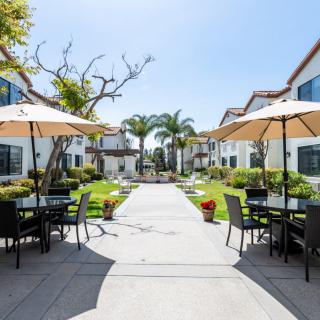 A sunny outdoor patio area with tables and chairs, surrounded by well-maintained landscaping in a residential setting.