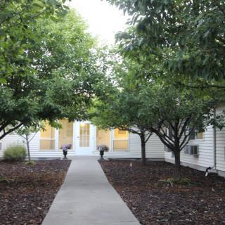 A pathway lined with trees leading to a building entrance.