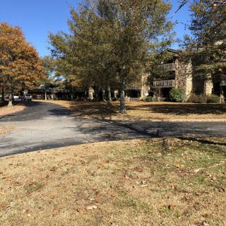 A peaceful residential area with trees and a clear blue sky in autumn.