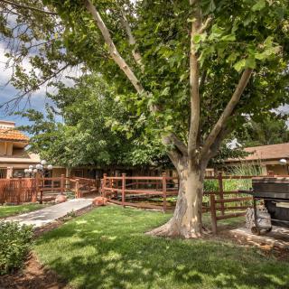 A tranquil backyard with lush green grass, a large tree providing shade, and a wooden fence surrounding the area.