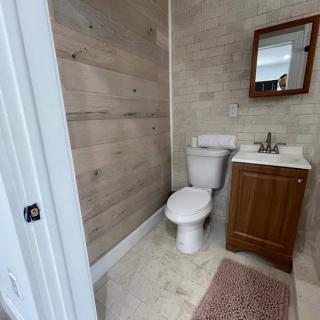 A small bathroom featuring a toilet, wooden vanity with sink, mirror, wood paneling on the wall, and a tile floor with a rug.