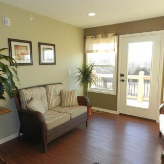 A cozy living room with a sofa, indoor plants, and ample natural light coming through the window.