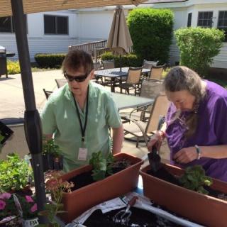 Two people enjoying a sunny day while planting flowers in outdoor planters.