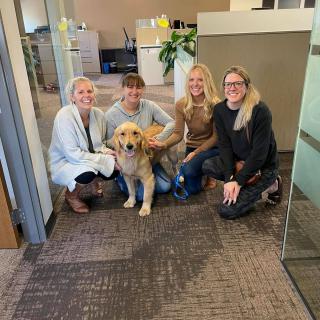 A group of people with a dog in an office setting.