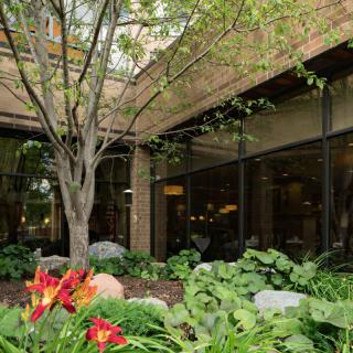 A lush garden with vibrant flowers surrounded by a brick building and large windows.