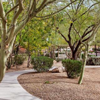 A peaceful walkway winding through a desert landscape with trees and greenery.