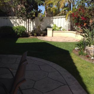 A sunny backyard garden with a patio, surrounded by trees and plants.