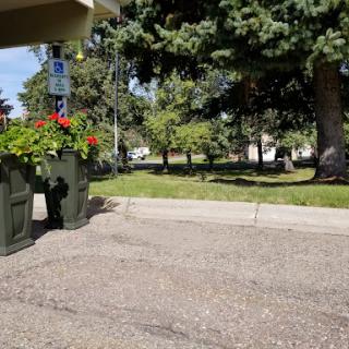 A serene outdoor scene featuring vibrant flowers and lush greenery, inviting a peaceful stroll.