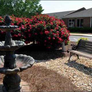 A serene garden with a stone fountain, blooming flowers, and a wooden bench.