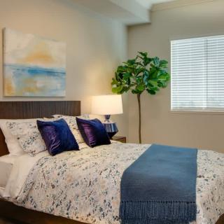 A cozy bedroom with modern decor, featuring a neatly made bed with blue accents, artwork above the headboard, and a potted plant by the window.