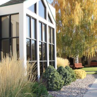 A modern building seamlessly integrated into a vibrant outdoor garden with lush greenery and decorative stones.