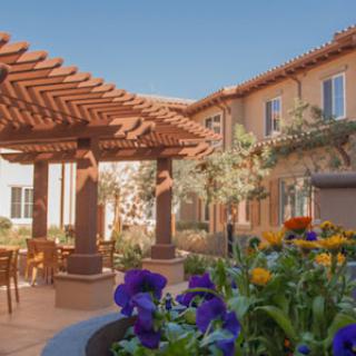 A serene outdoor courtyard featuring a wooden pergola, vibrant flowers, and inviting seating arrangements, perfect for relaxation.