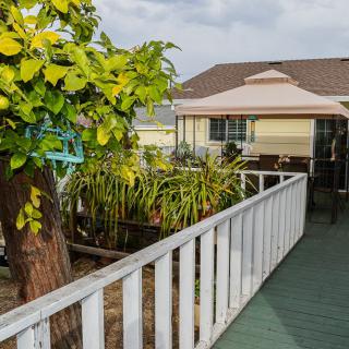 A wooden walkway leads to a house, surrounded by plants and a tree.