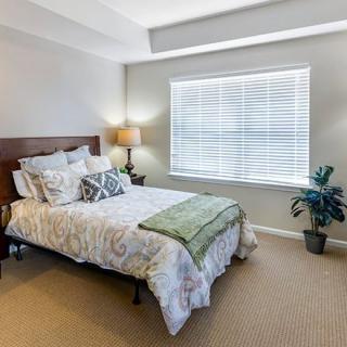 A cozy bedroom with natural light, featuring a neatly made bed, bedside lamp, and a potted plant.