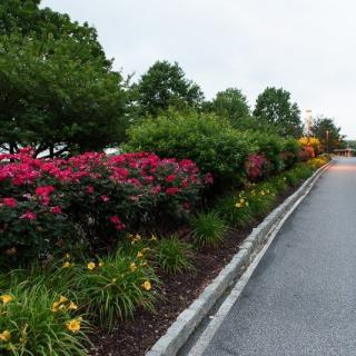 Willowbrooke Court-Granite