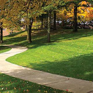 A scenic view of a curved pathway in a park surrounded by lush green grass and trees with autumn foliage.