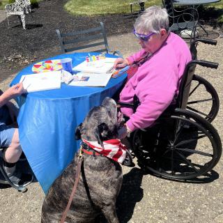 An elderly person in a wheelchair interacts with a dog at an outdoor table activity.