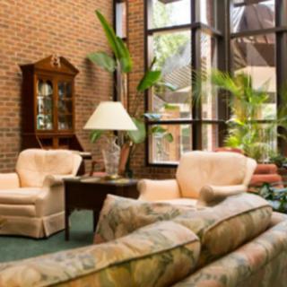 A cozy living room with large windows, featuring comfortable furniture and lush indoor plants.