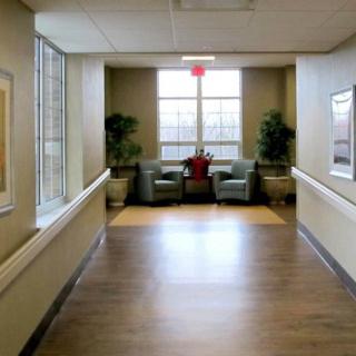A quiet hallway with a seating area by the window, featuring two armchairs and decorative plants.