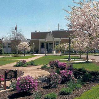 A beautiful college campus with blooming cherry blossoms and well-maintained landscaping.