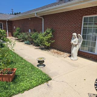 A serene garden pathway lined with greenery and a decorative angel statue.