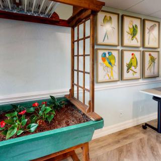 Indoor garden space with a decorative plant box and framed bird illustrations on the wall.