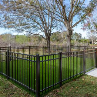 A fenced-in grassy yard with trees in the background.