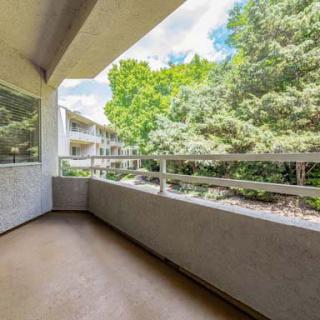 An apartment balcony overlooking lush green trees and nature.