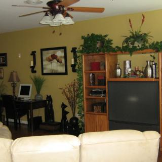 A cozy living room featuring a television, bookshelf, computer desk, and decorative plants.