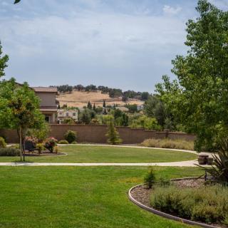 A serene park scene with a pathway winding through green lawns and trees, bordered by suburban houses.