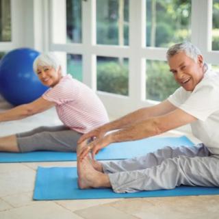 Elderly couple practicing stretching exercises indoors on yoga mats.
